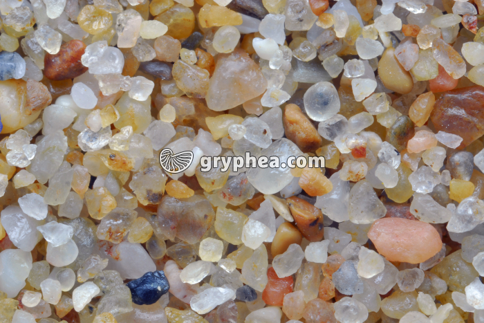 Sable quartzeux - Plage de Bretignolles (Vendée) x3 - gryphea.com